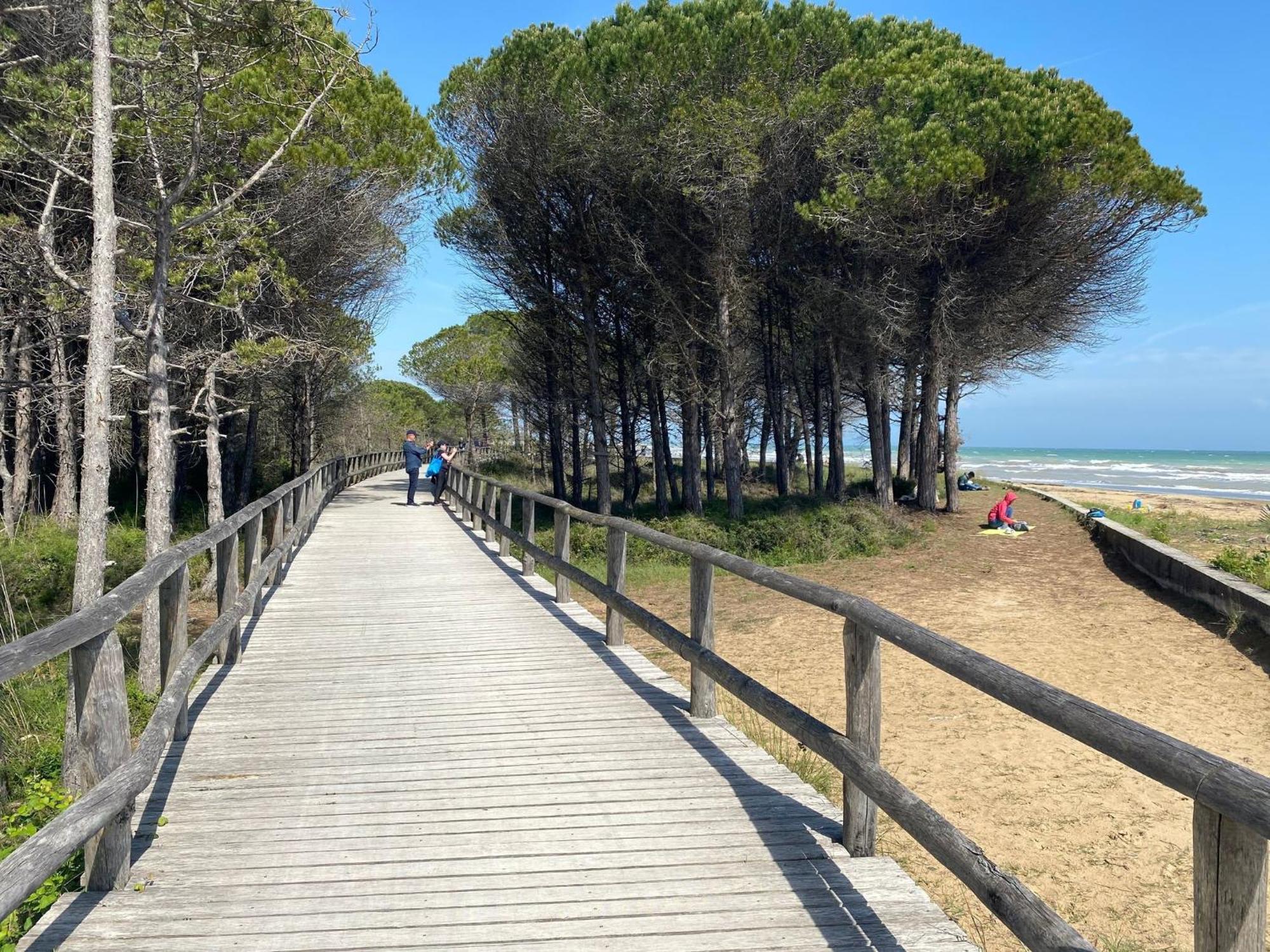 Apartment Lovely Flat Just 400m From The Bibione